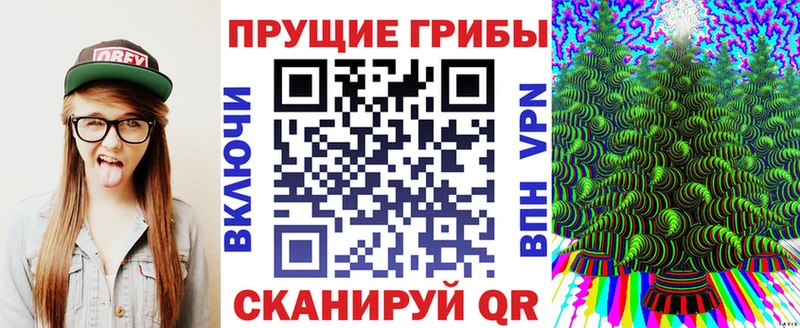 Галлюциногенные грибы прущие грибы  Купить  Горбатов 